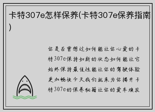卡特307e怎样保养(卡特307e保养指南)